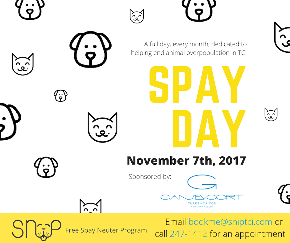 SNiP TCI SNiP Spay Day Sponsored by Gansevoort