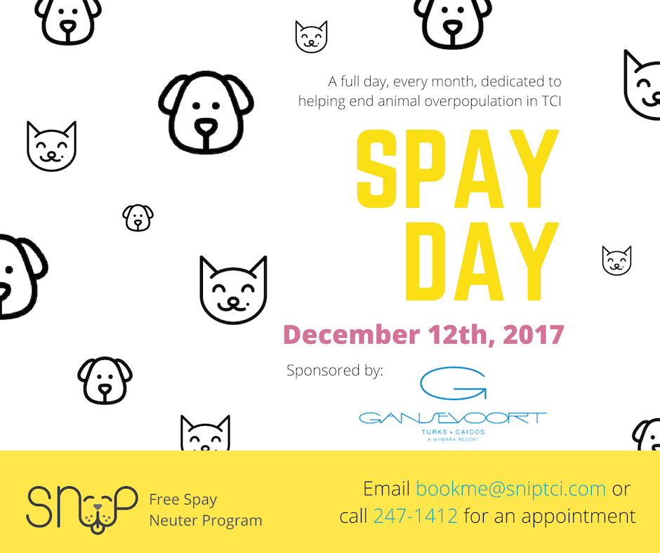 SNiP TCI SNiP Spay Day Sponsored by Gansevoort