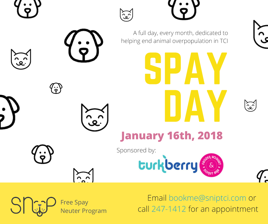 SNiP Spay Day Sponsored by Turkberry