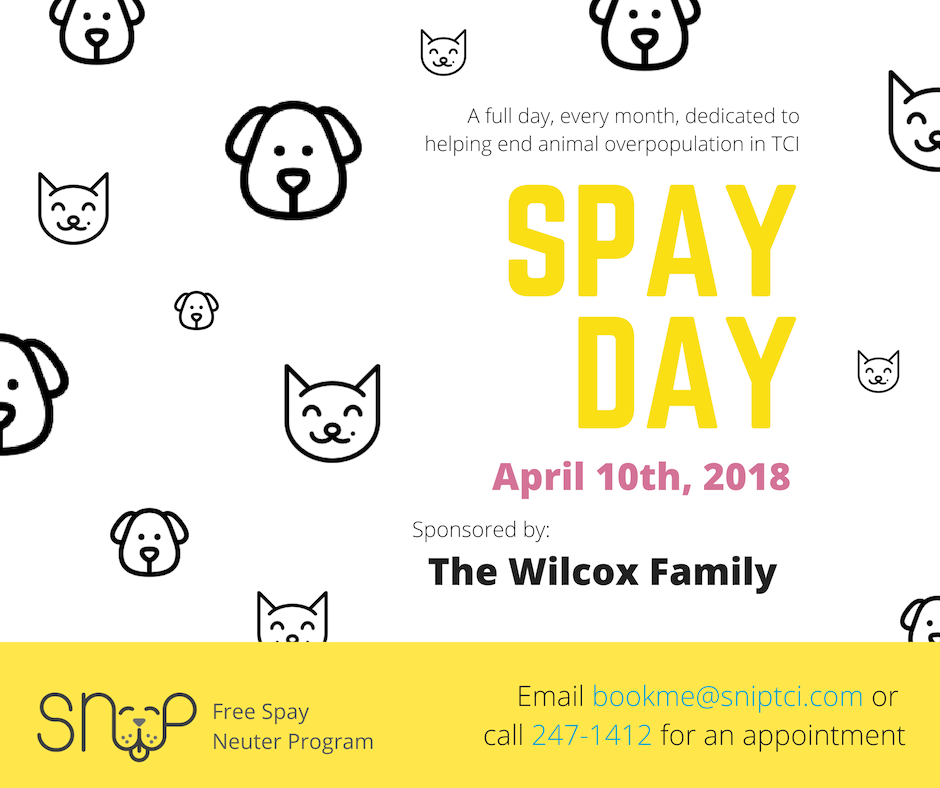 SNiP SNiP Spay Day Sponsored by The Wilcox Family