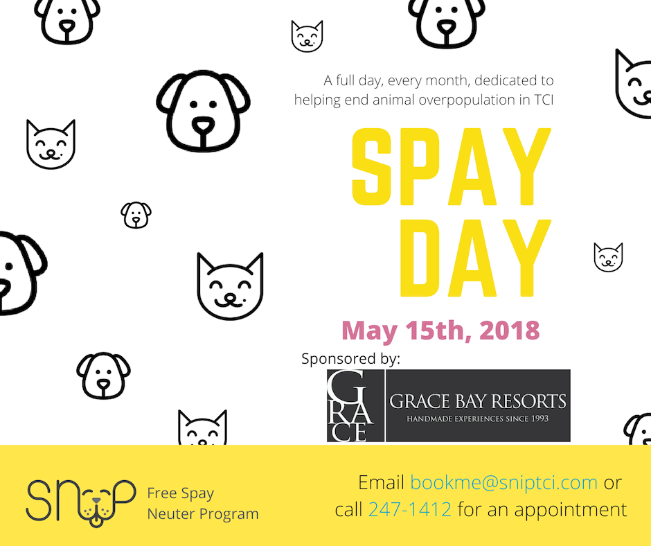 SNiP Spay Day Sponsored by Grace Bay Resorts