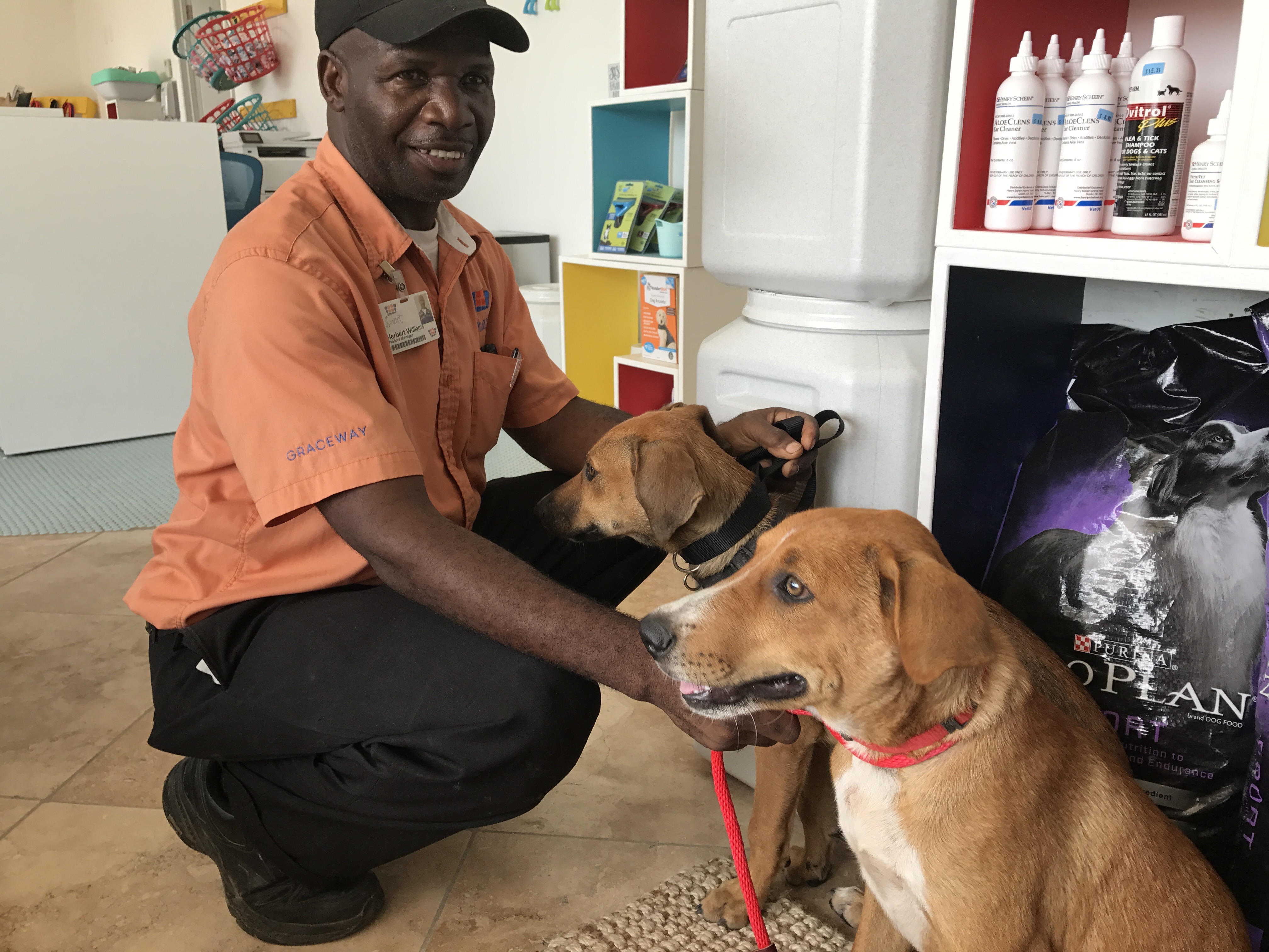 Owner delivering dogs to SNiP TCI