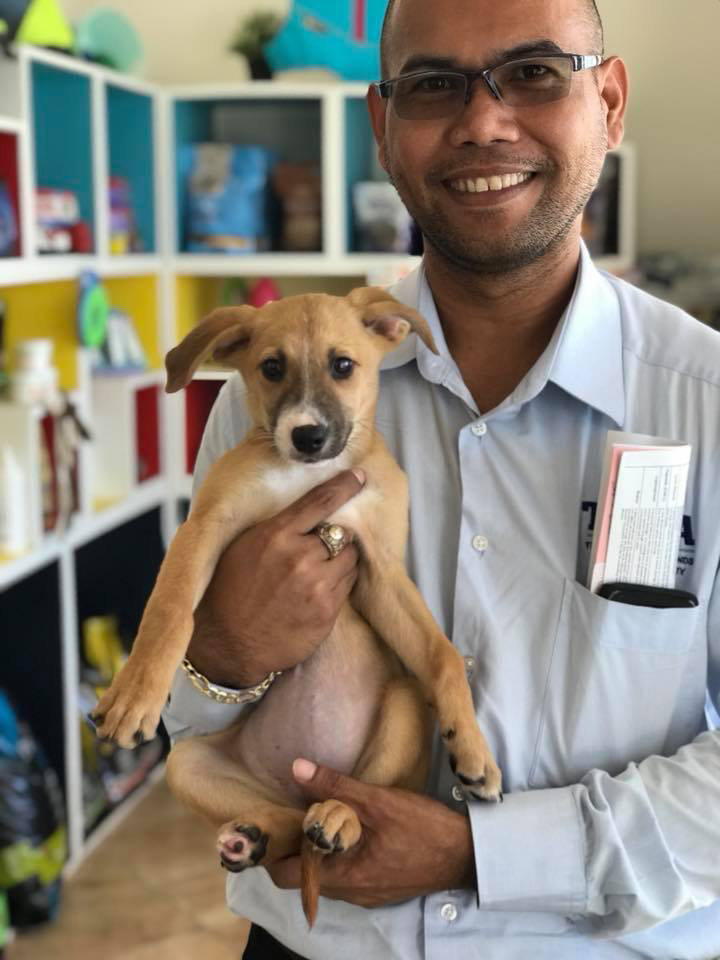 Puppy at SNiP TCI Spay Day clinic