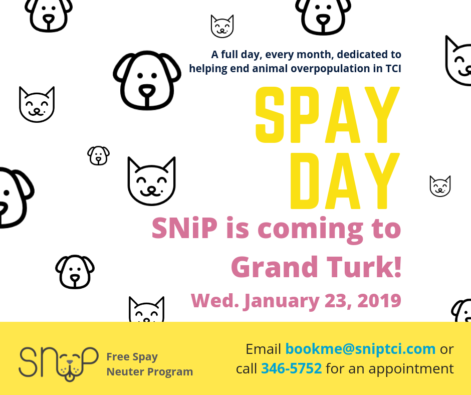 SNiP TCI Free Spay and Neuter Clinic in Grand Turk