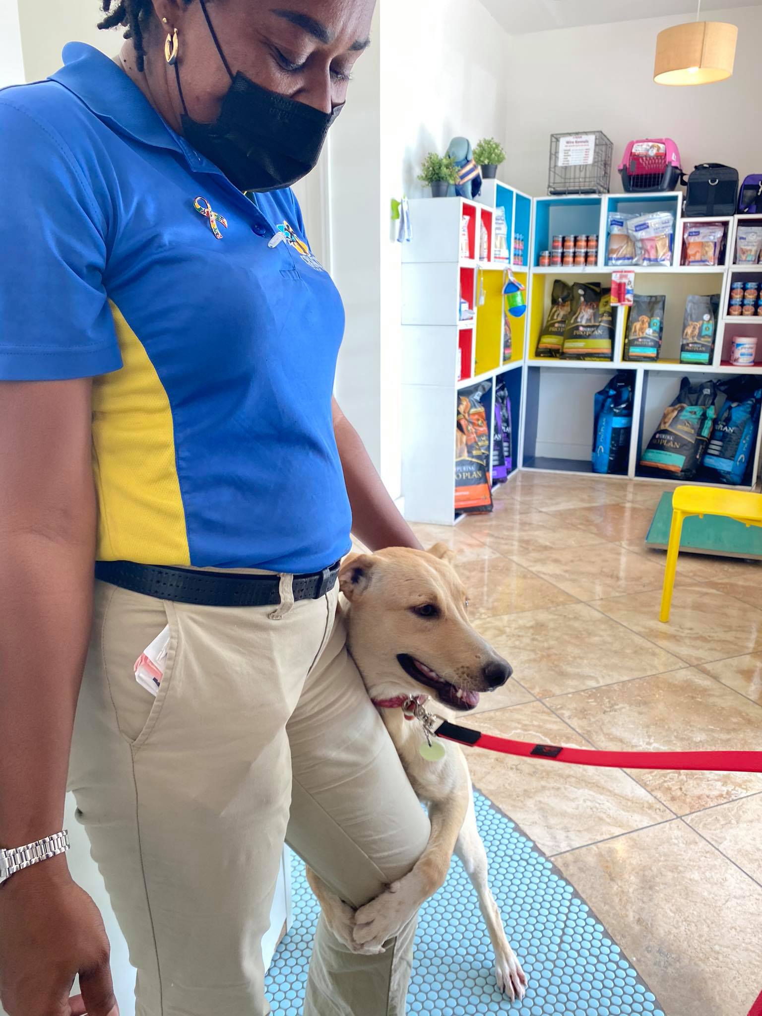 Dog and owner at Snip TCI Clinic