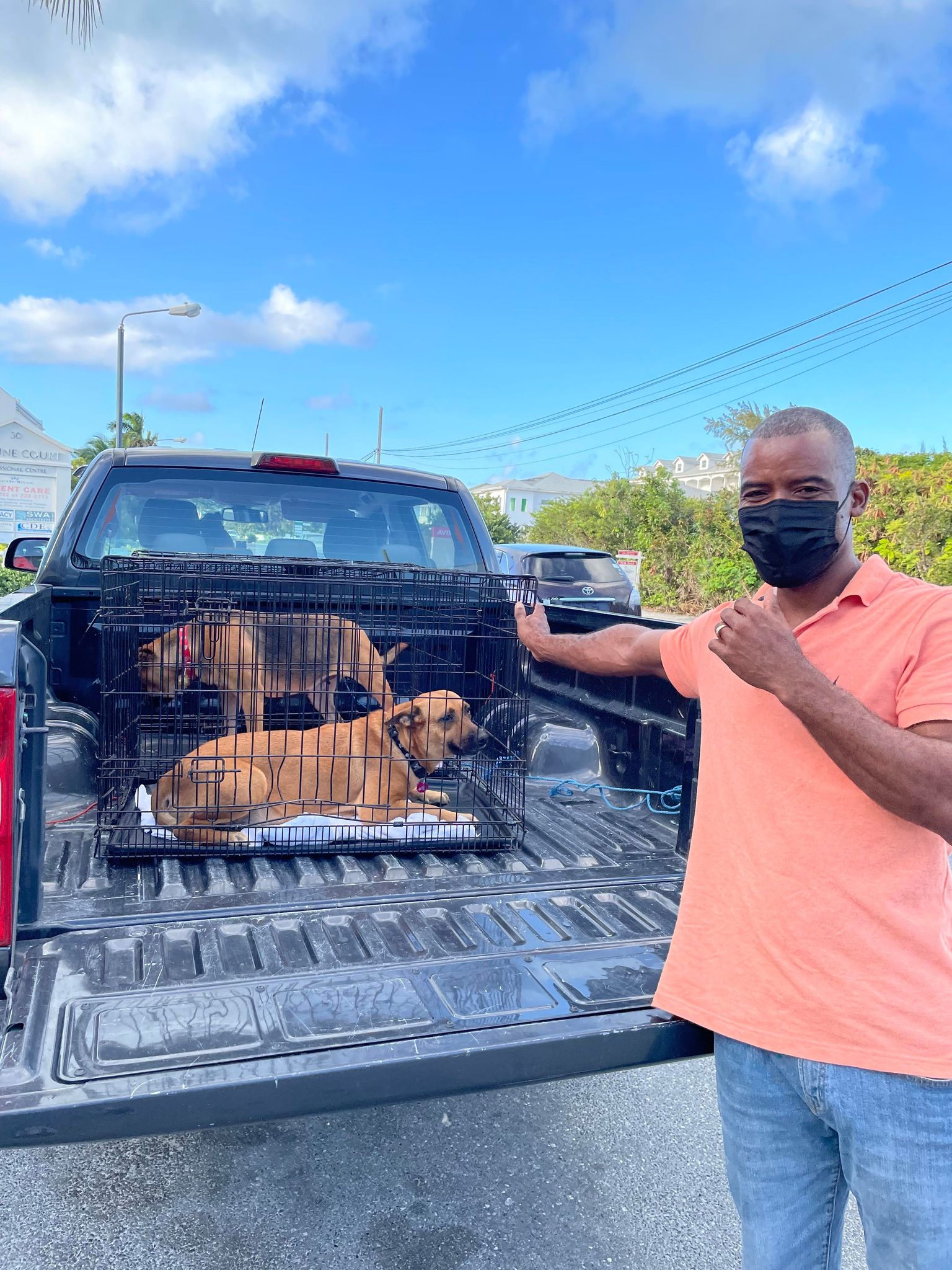 Client delivering dogs to the SNiP TCI