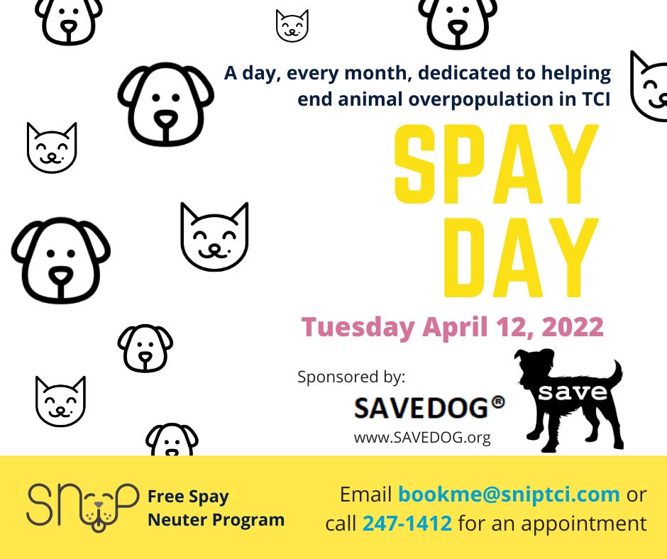 Free best sale spay day